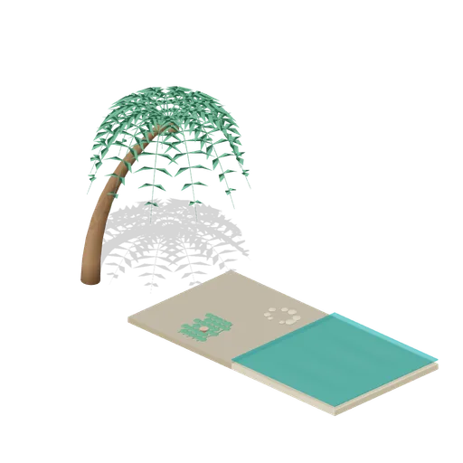 Lagoon beach (Tropical Island Ecology)