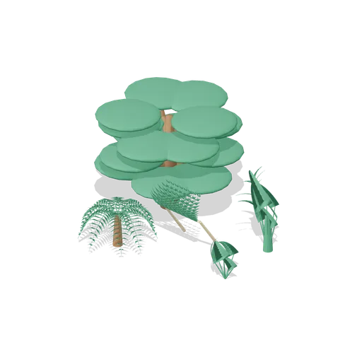 Island interior clearing (Tropical Island Ecology)