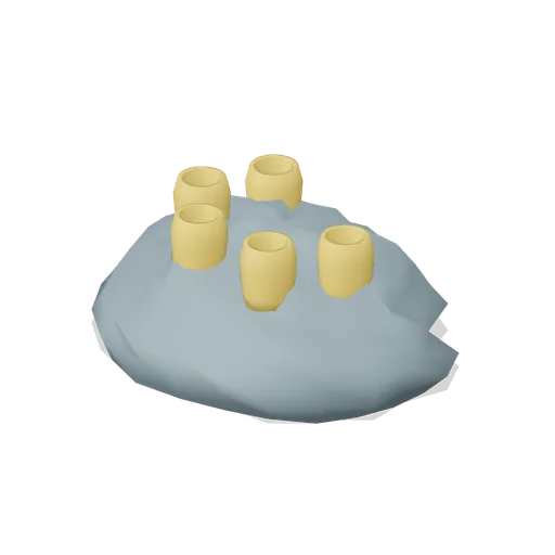 Boring sponge on rubble (Underwater Reef Worlds)
