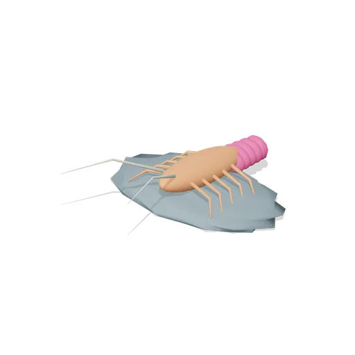 Spiny lobster in a crevice (Underwater Reef Worlds)