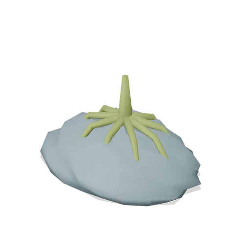 Kelp holdfast on rock (Underwater Reef Worlds)