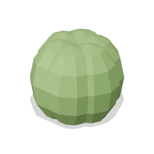 Lettuce (Supermarket Operations)