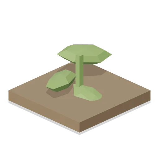 Tomato Seedling (Cozy Farm and Homestead)