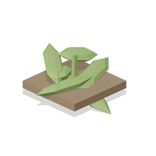 Pumpkin Seedling (Cozy Farm and Homestead)